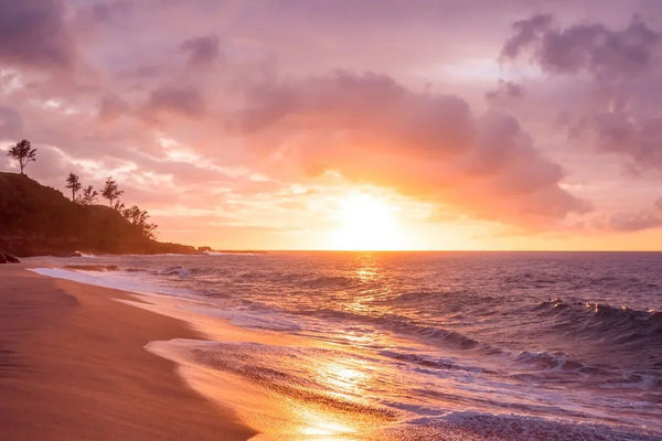 Stay Cool This Summer with These Book Recommendations
