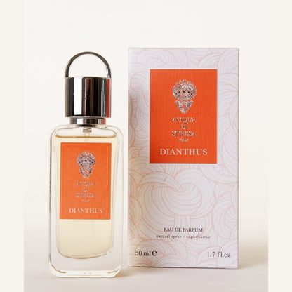 Eau de parfum Dianthus Acqua di Stresa 100 ml flacon et étui corail œillet mixte