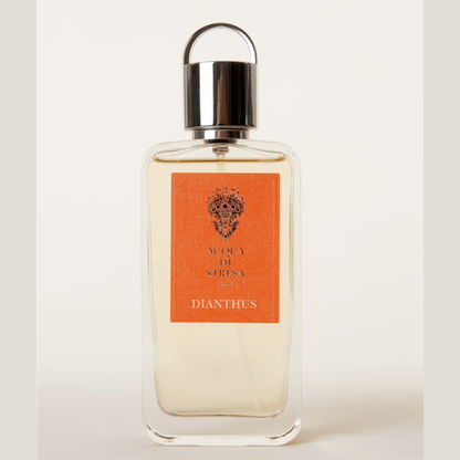 Eau de parfum Dianthus Acqua di Stresa 100 ml flacon