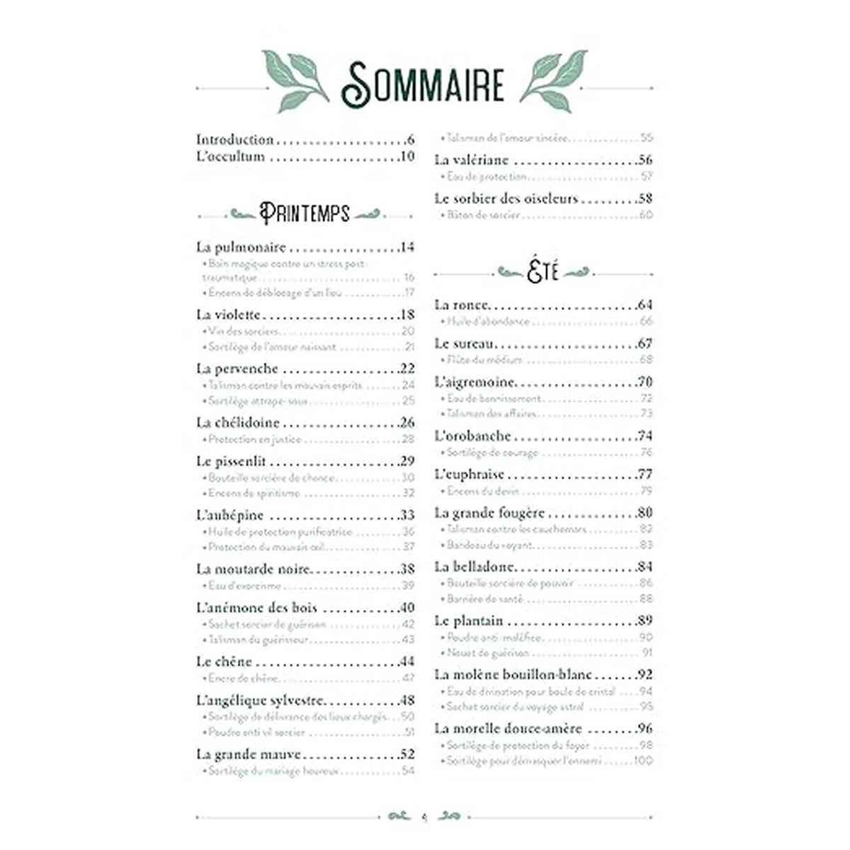 Sur les pas d'une sorcière de campagne .Plantes et savoirs ancestraux sommaire