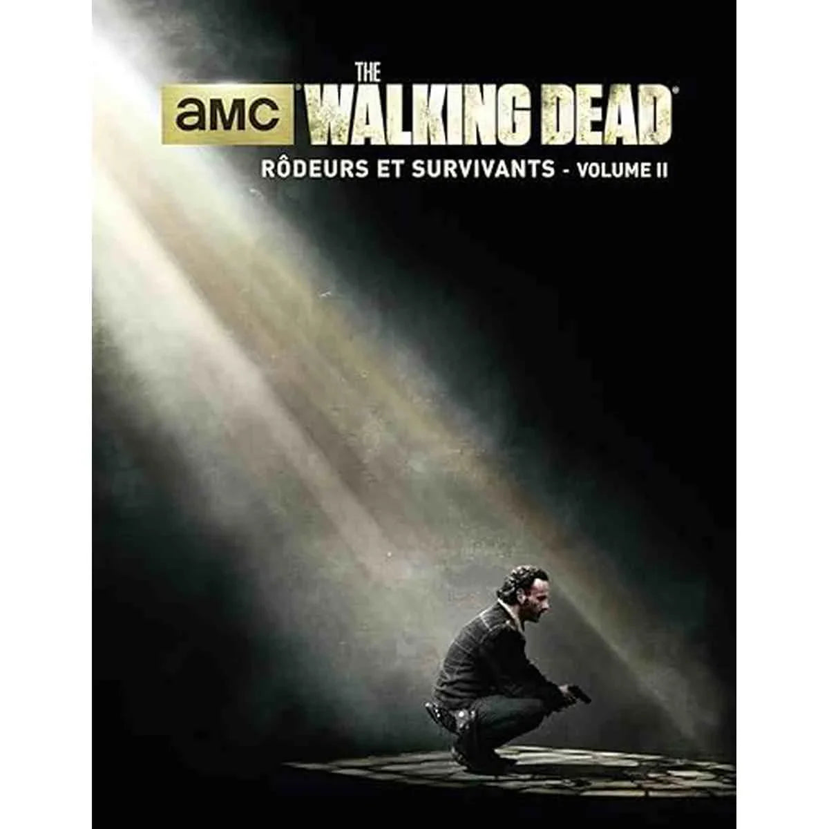 The Walking Dead rôdeurs et survivants volume 2 Livre Posters
