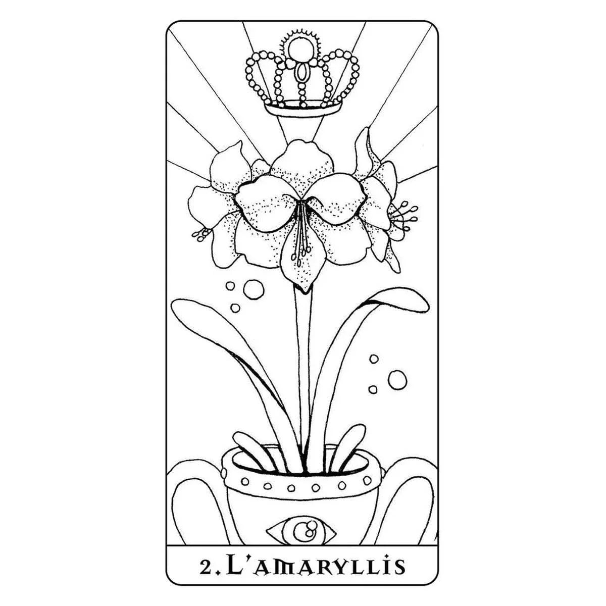 Mes cartes oracle Fleurs à colorier- secret d'étoiles