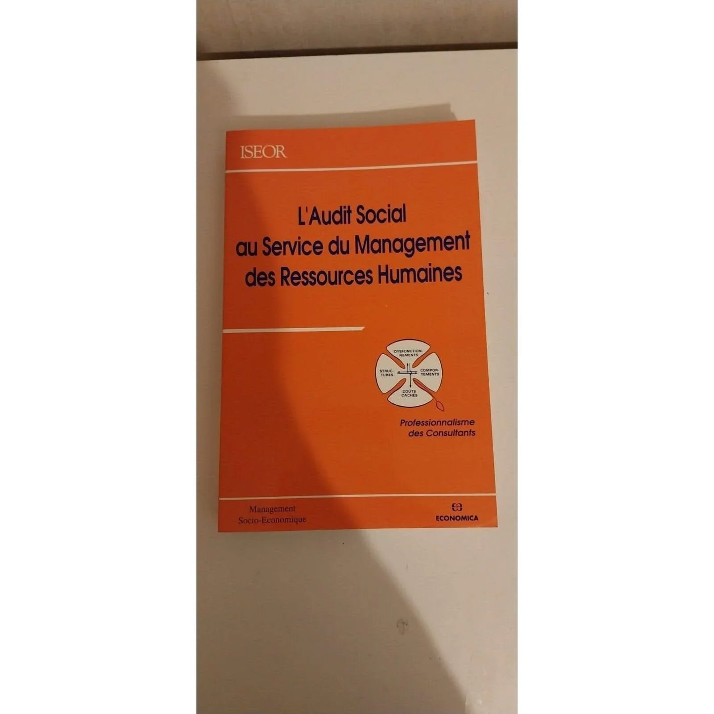 L'AUDIT SOCIAL AU SERVICE DU MANAGEMENT DES RESSOURCES HUMAINES / MANAGEMENT ...