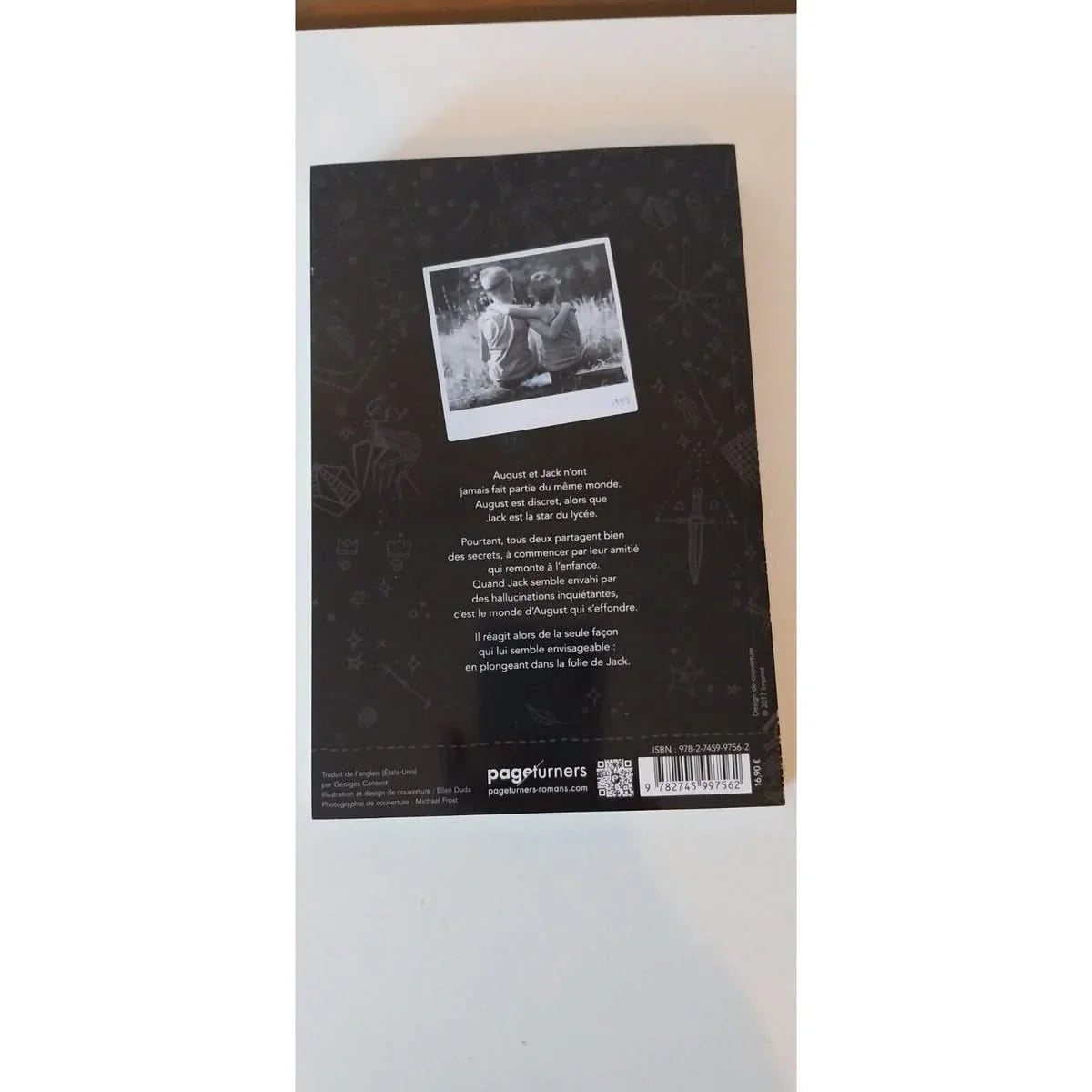 Rois De Cendres .Ils voient un autre monde. Imagination ou folie resume du livre